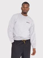 Poleron-Unisex-Vertical-Crew