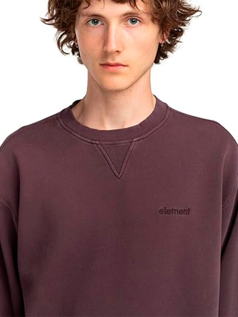 Poleron-Hombre-Cornell-Pullover-3.0-Morado-Element